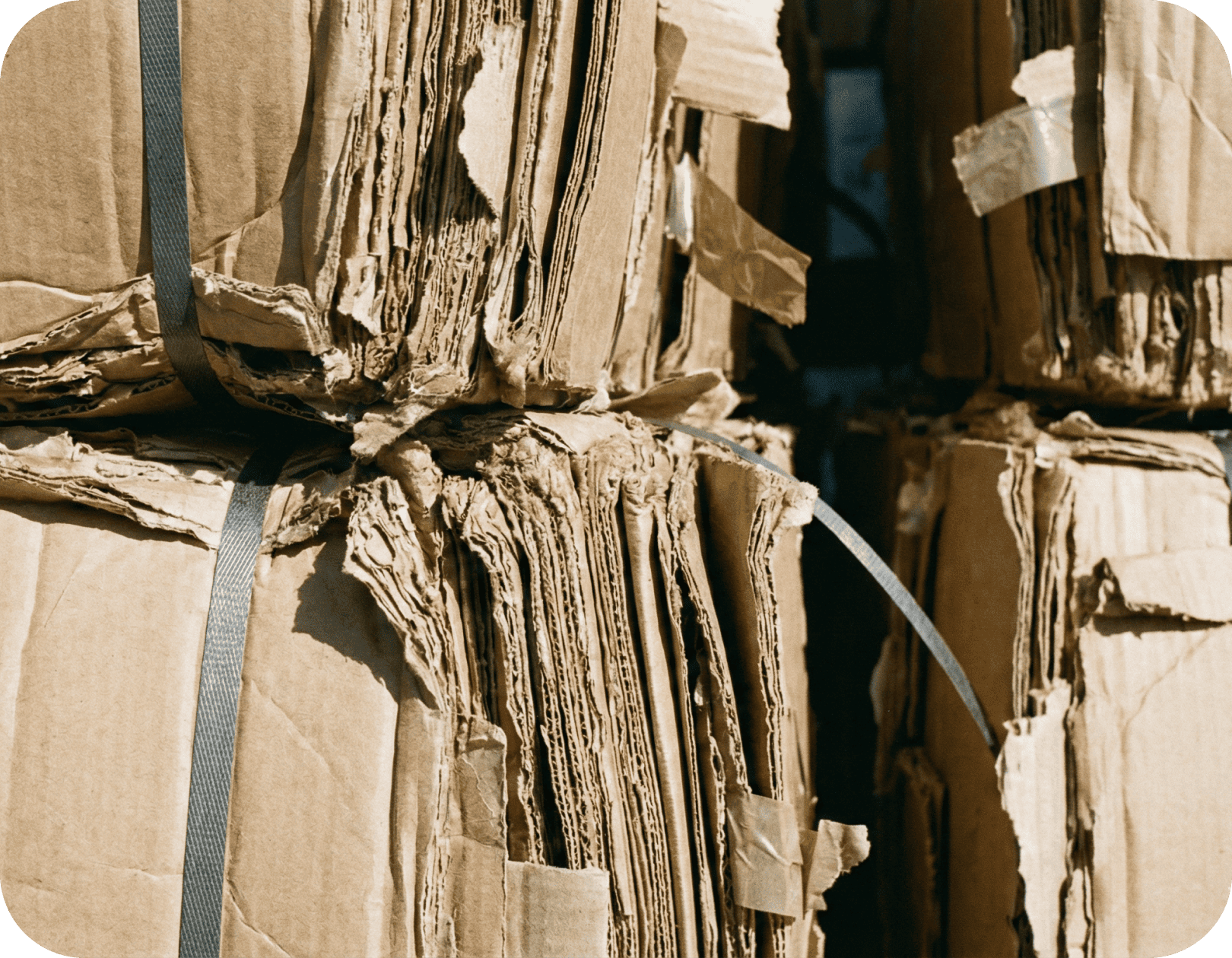 Photo-box-recyclage-carton-2